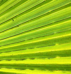 Similar image 10851722