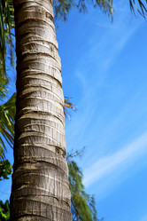 Similar image 10851761