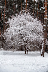 Similar image 10851765