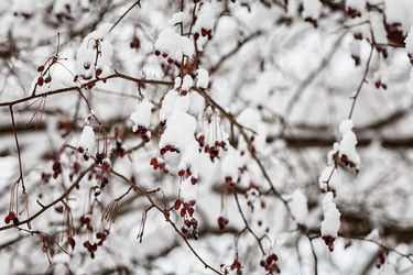 Similar image 10851766