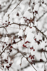 Similar image 10851767