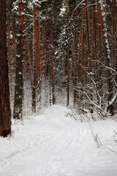 Similar image 10851769