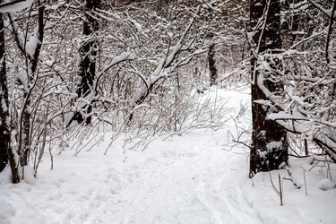 Similar image 10851770