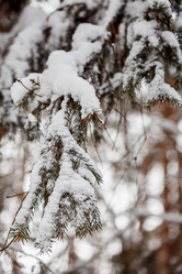 Similar image 10851771