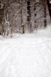 Similar image 10851772