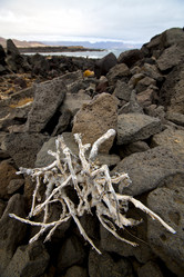 Similar image 10851775