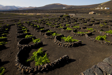 Similar image 10851789