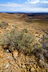 Similar image 10851790