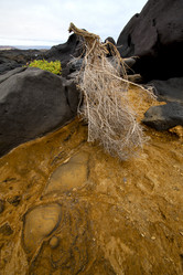 Similar image 10851791