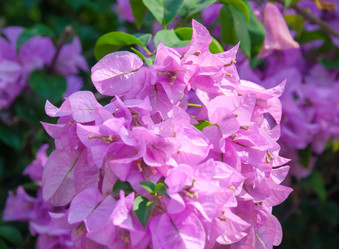 Similar image 10851816