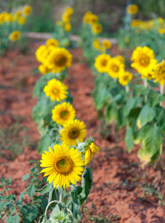 Similar image 10851819