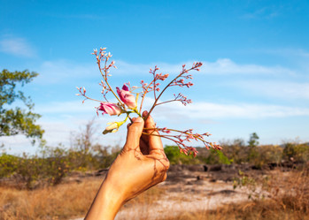 Similar image 10851823