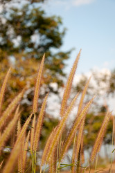 Similar image 10851824