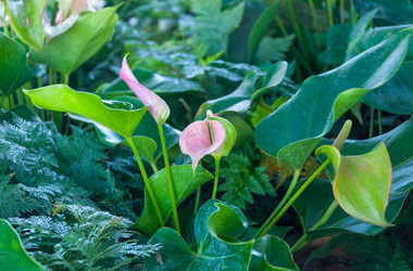 Similar image 10851836