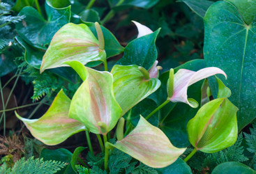 Similar image 10851837