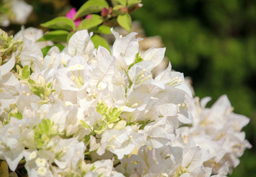 Similar image 10851839