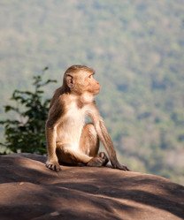 Similar image 10851841