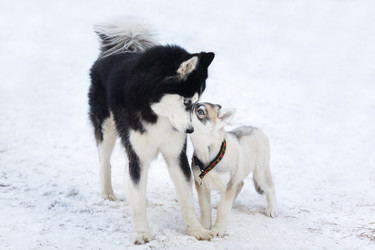 Similar image 10851873