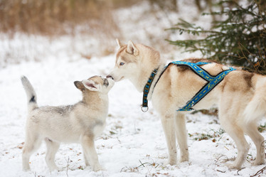 Similar image 10851879