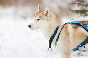 Similar image 10851880