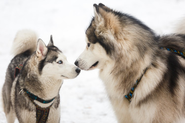 Similar image 10851882