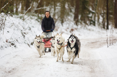 Similar image 10851893