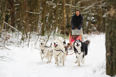 Similar image 10851894