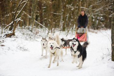 Similar image 10851895