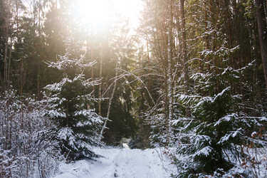 Similar image 10851897