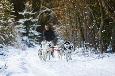 Similar image 10851899