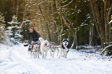 Similar image 10851900