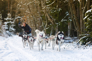 Similar image 10851901