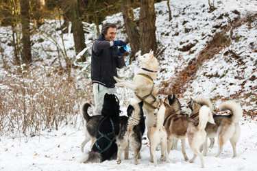 Similar image 10851903