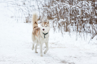 Similar image 10851907