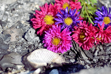 Similar image 10852138