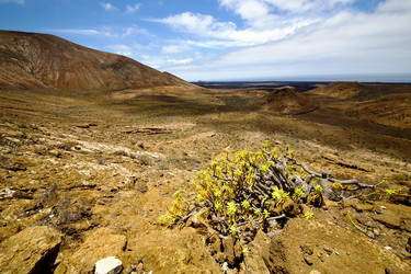 Similar image 10852189