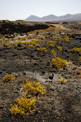 Similar image 10852205