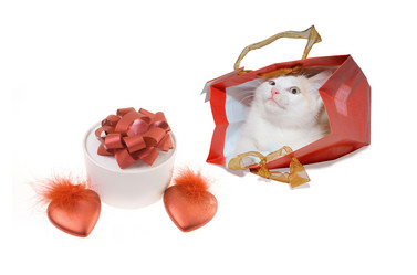 Similar image 10852217