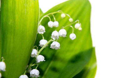 Similar image 10852234