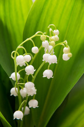 Similar image 10852235