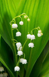 Similar image 10852236