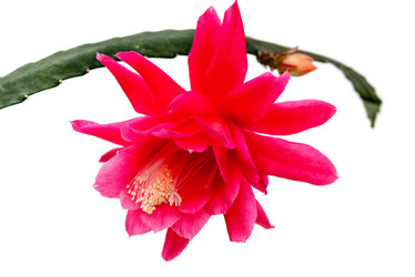 Similar image 10852237