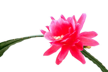 Similar image 10852238