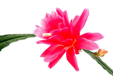 Similar image 10852239