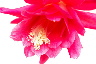 Similar image 10852240