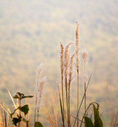 Similar image 10852241