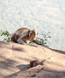 Similar image 10852243