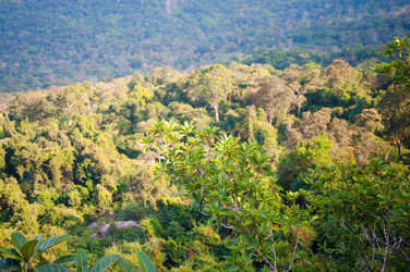 Similar image 10852244