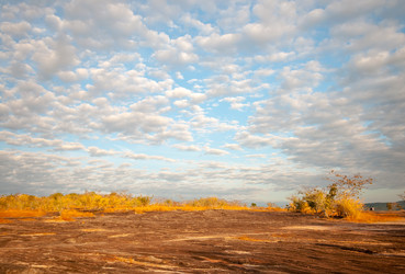 Similar image 10852245