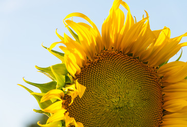 Similar image 10852246